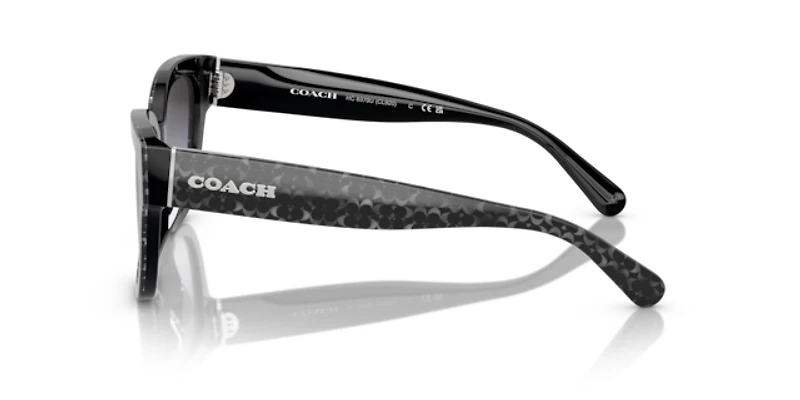 Coach Woman Grey Pearl Signature C