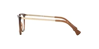 LENSCRAFTERS Woman Shiny Transparent Brown