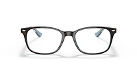RB5375 Optics