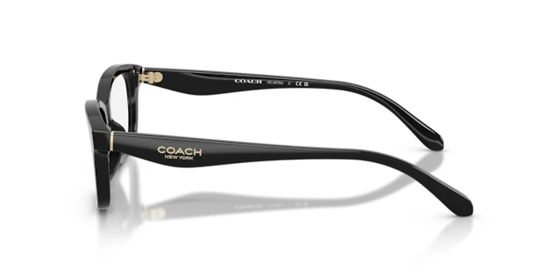 Coach Woman
