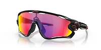 Oakley Men's Jawbreaker™ Sunglasses