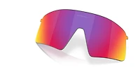 Oakley Men's Stunt Wing Replacement Lens