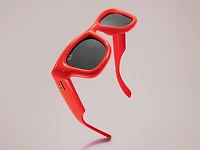 RB4940 Wayfarer Puffer