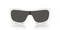 DG4454