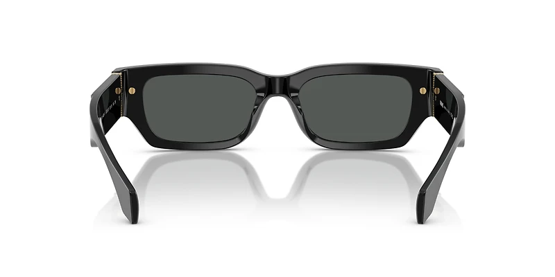 VE4465F