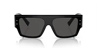 DG4459