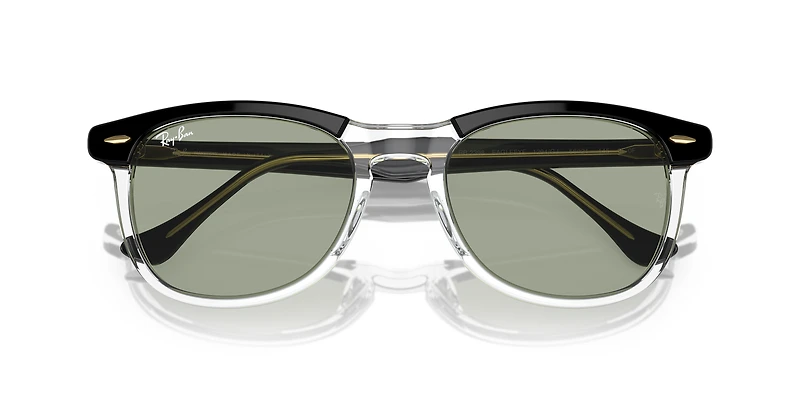 RB2398 Eagle Eye Transitions