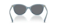 RA5339U