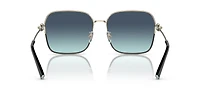TF3093D