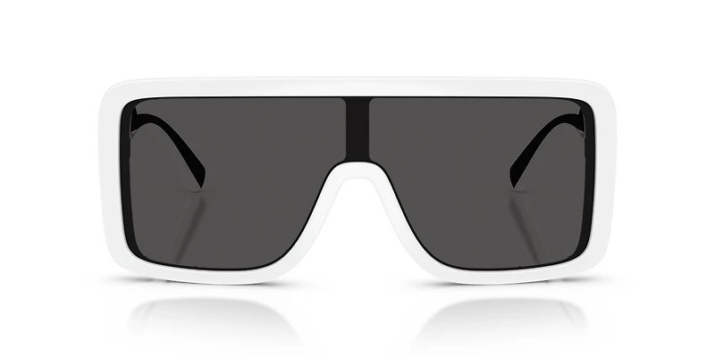 DG6204