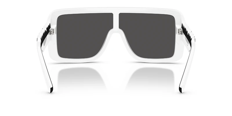 DG6204