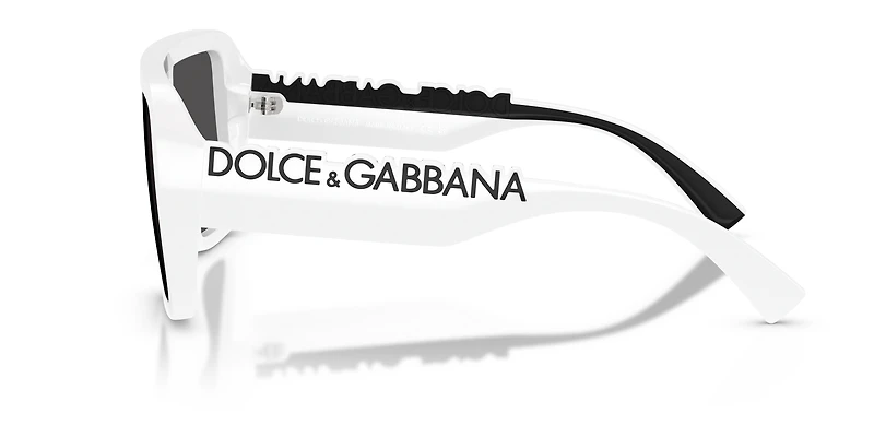 DG6204