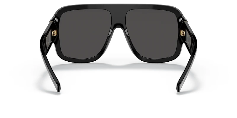 DG4401