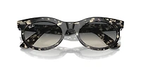 RB2242 Wayfarer Oval