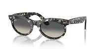 RB2242 Wayfarer Oval