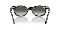 RB2242 Wayfarer Oval