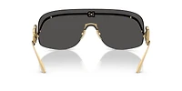 DG2320