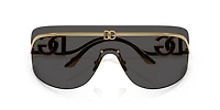 DG2320