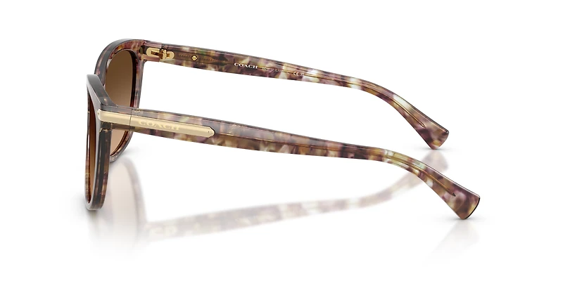HC8132 L109