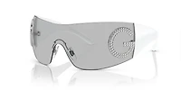 DG2298B