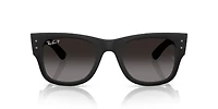 RB4840S Mega Wayfarer Liteforce