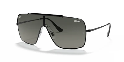 RB3697 Wings II