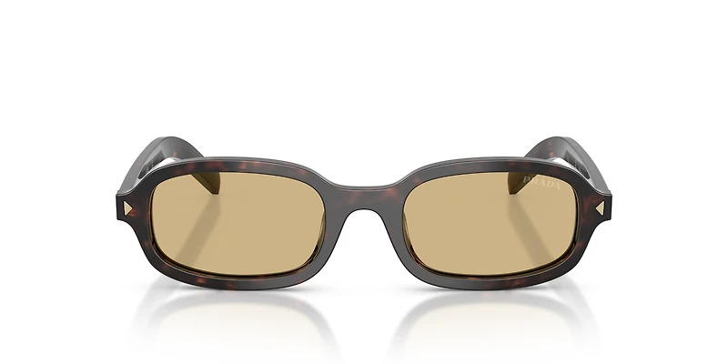 PR D06S