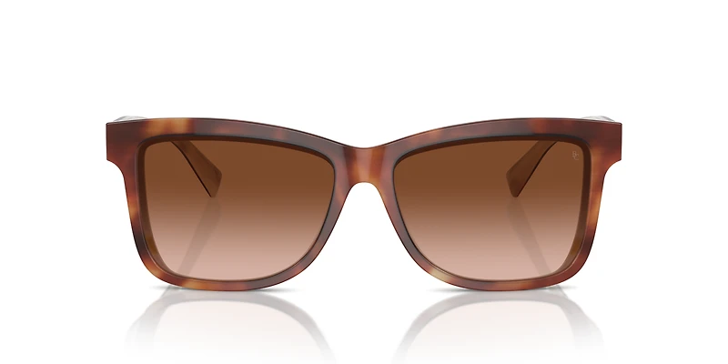 BC4009S