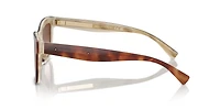 BC4009S