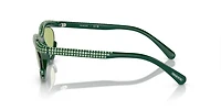 SK6006