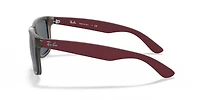 RB4165 Justin Color Mix