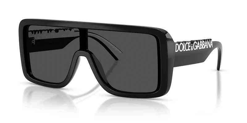 DG6204