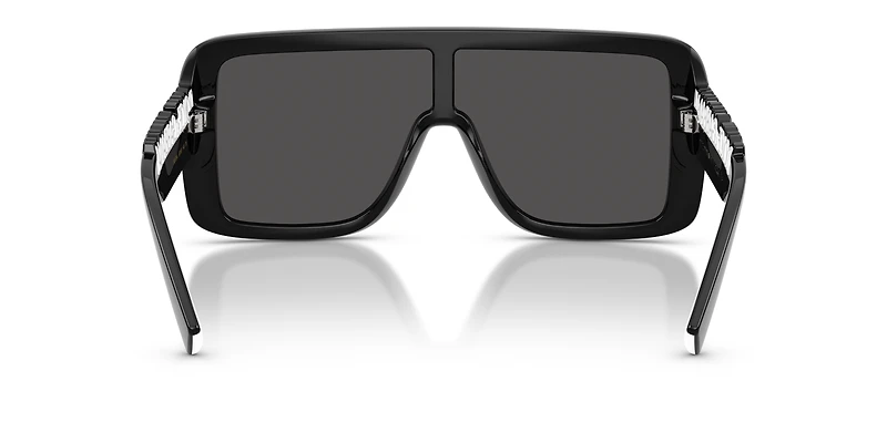 DG6204