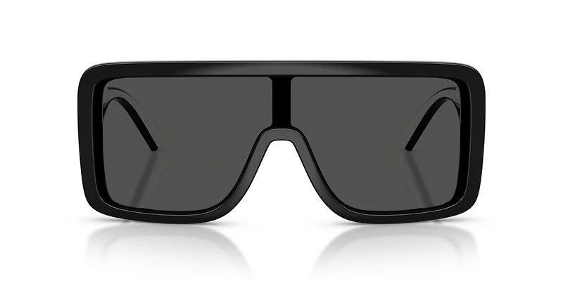 DG6204