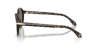 AR8237