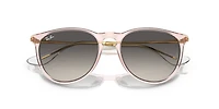 RB4171 Erika Classic