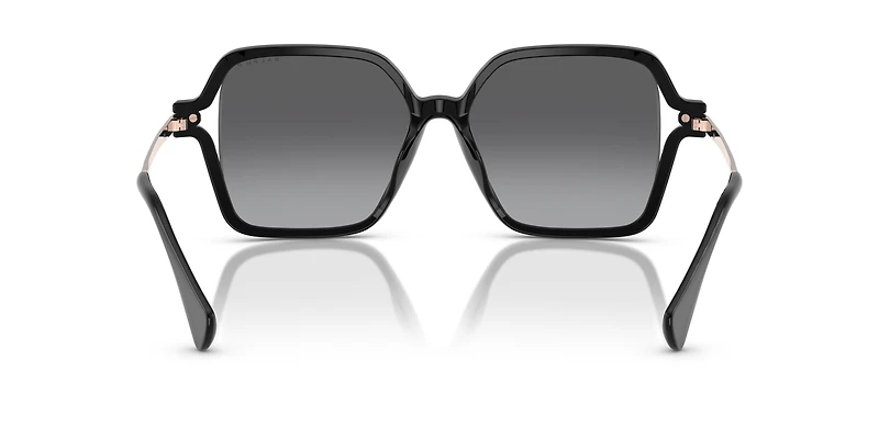 RA5319U
