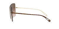 AR6118
