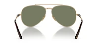RB8225 Aviator II Titanium