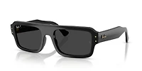 RB4454 Lukas Bio-Based