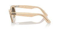 RB2242 Wayfarer Oval Change