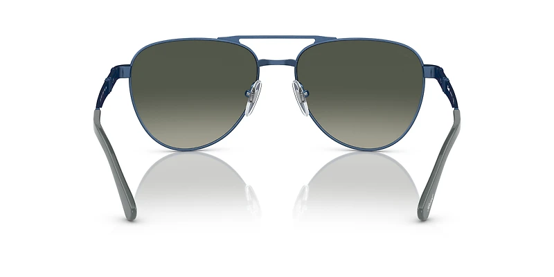 PO1003S