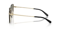 HC7184D CBZ51