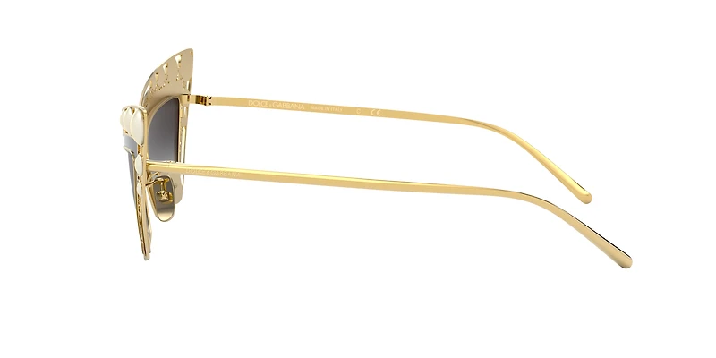 DG2254H