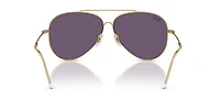 RBR0101S Aviator Reverse