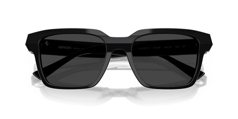 FH2011U