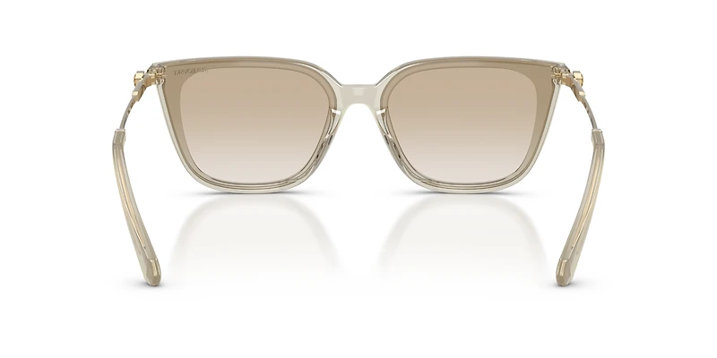 SK6054D