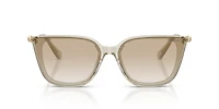 SK6054D