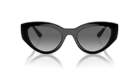 VO5566S
