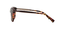 RA5201